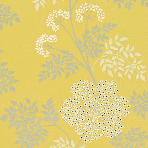Sanderson Cowparsley Wallpaper Wayfair
